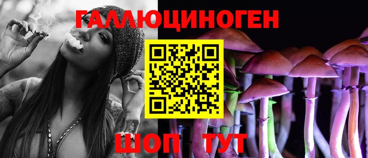 Галлюциногенные грибы Cubensis Курск